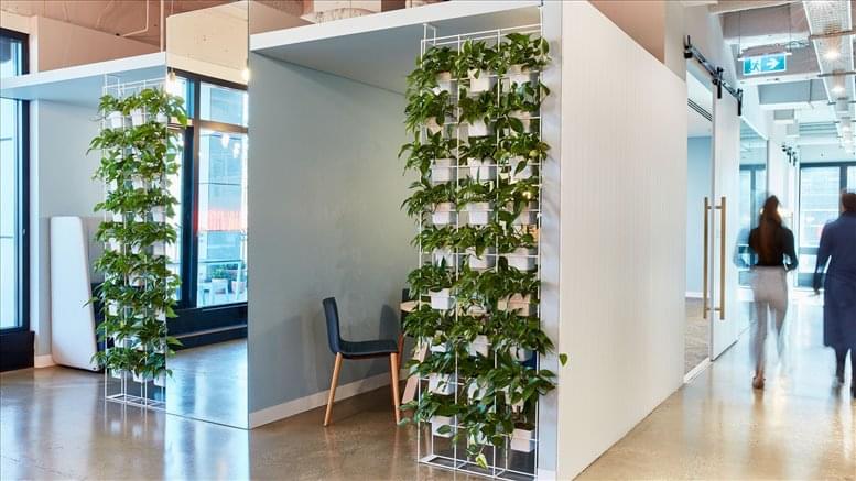 50 Carrington Street, Level 12 and 13 Office images