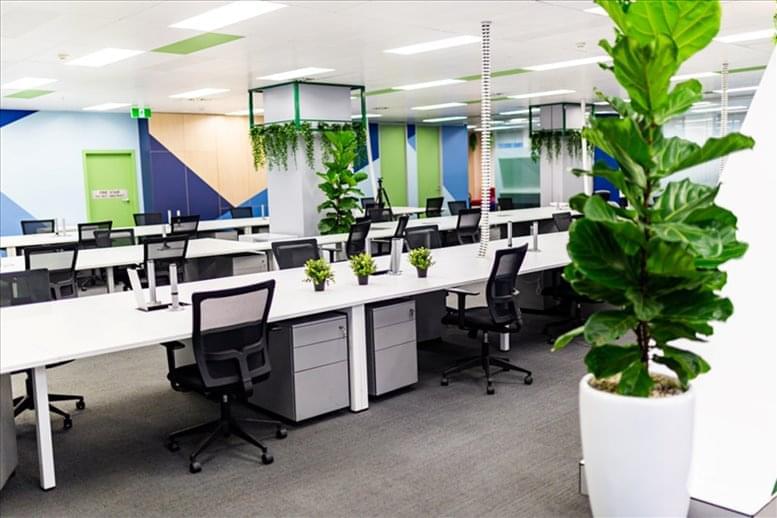 309 George St Office images